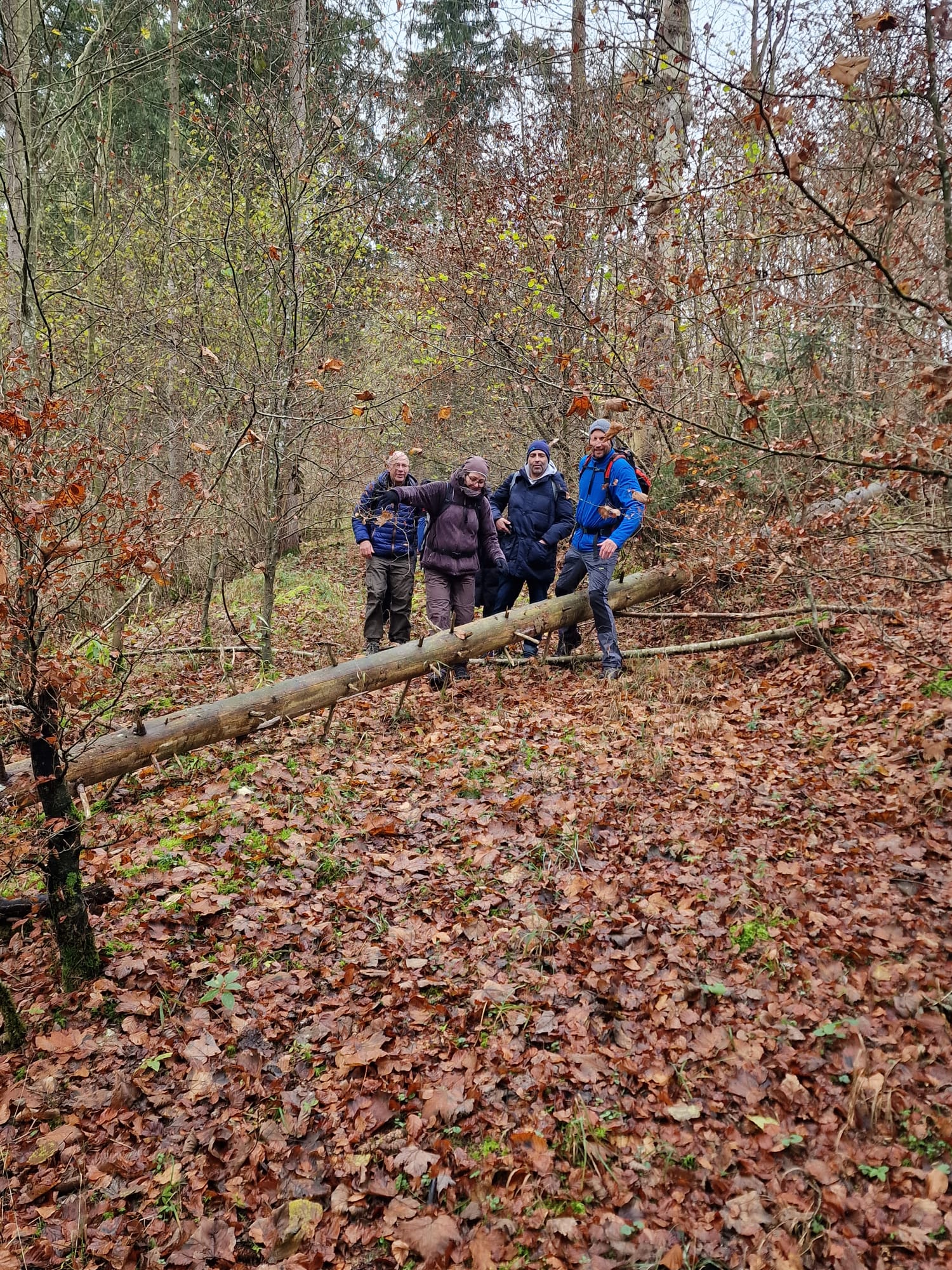 Frische Luft - Neue Perspektiven - Klare Gedanken 